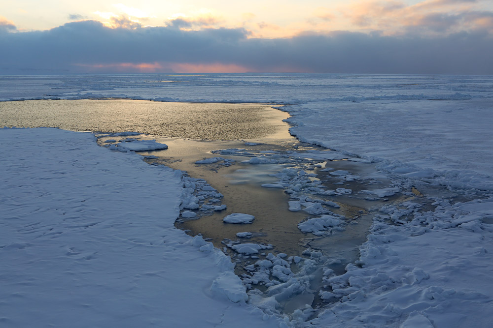 Ice and open water, photographed by Nick Cobbing for Greenpeace, from the Arctic Sunrise, off Spitsbergen.