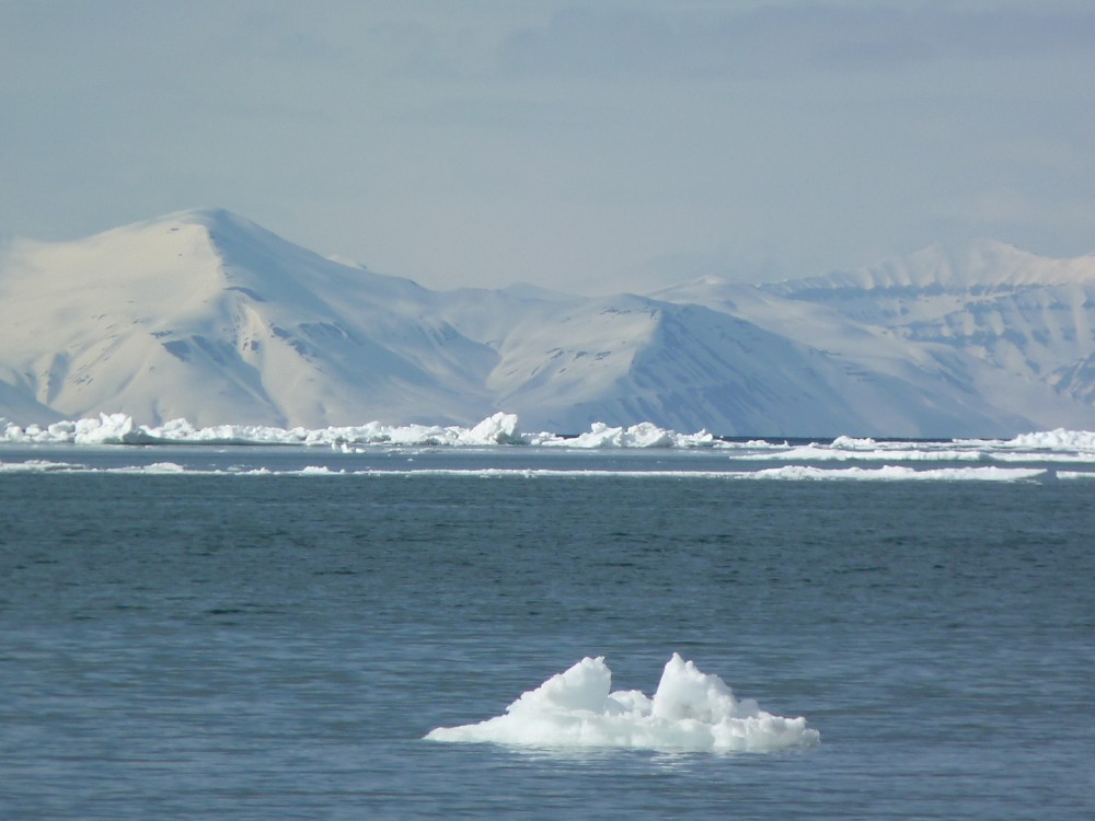 Arctic ice – dwindling away. Photo by Irene Quaile