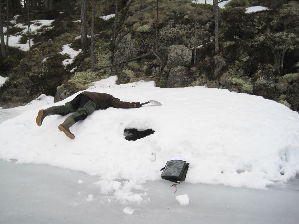 A researcher plunges into the entry to an abandoned Saimaa ringed seal nest. Photo: Miina Auttila/Metsähallitus