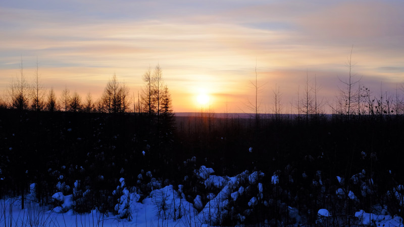 Sunset over the taiga. Photo by Mia Bennett