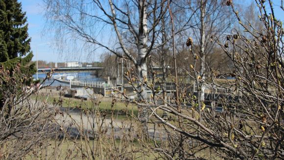 Joensuu in warm weather. (Anu Rummukainen / Yle)