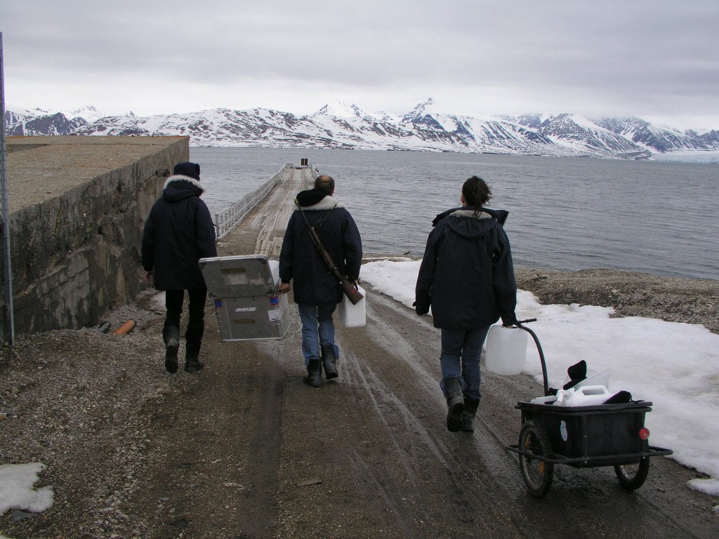 British Arctic marine biologist collaborating with Dutch colleagues in Ny Alesund, Spitsbergen. (Irene Quaile/Deutsche Welle)