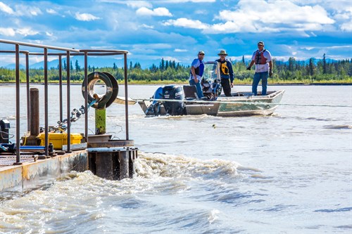 Alaska has 40% of U.S. river current energy. Hydrokinetic testing in Tanana River, Alaska. (T. Paris / UAF)