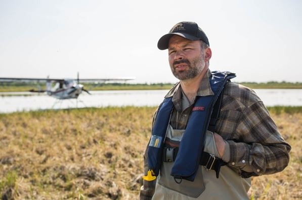 Alaska Department of Fish & Game biologist Tom Seaton observes a group of wood bison in the Innoko River area on May 26. (Loren Holmes / Alaska Dispatch News)