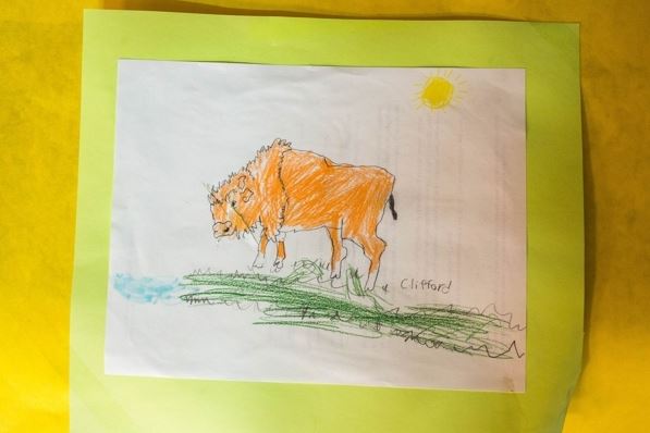 A student drawing of a wood bison at the Innoko River school in Shageluk (Loren Holmes / Alaska Dispatch News)