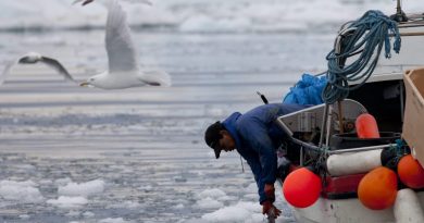 In this July 18, 2011 photo, an Inuit fisherman pulls in a fish on a sea filled with floating ice left over from broken-up icebergs shed from the Greenland ice sheet in Ilulissat, Greenland. (Brennan Linsley/AP Photo)
