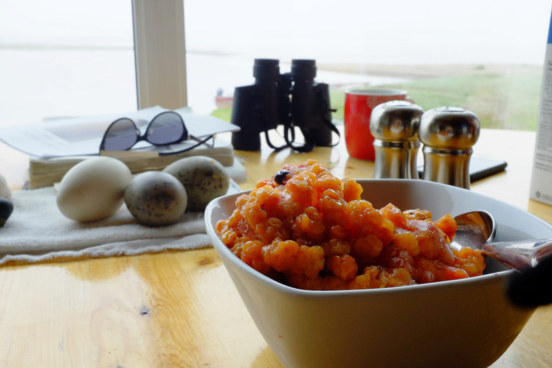 Frozen aqpik (salmonberries) and goose eggs in the background. (Mia Bennett)