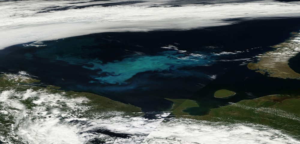 The algae boom in the Barents Sea is highly visible. This photo is based on satellite images from July 6th. Novaya Zemlya can be seen to the east while Finnmark, the Kola Peninsula, the White Sea area (under the skies), Cape Kanin and the Island of Kolguyev are visible from the west to the south-east. (Photo: NASA EOSDIS Worldservice)
