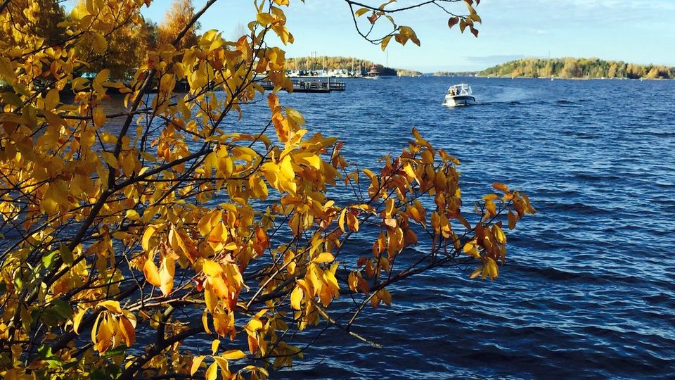 Boating in the Saimaa lake region is an increasingly popular summer pastime. (Heli Mälkiä / Yle)