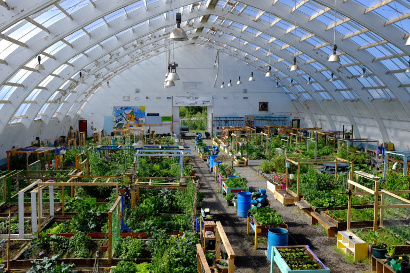 The enormous greenhouse inside the old hockey rink in Inuvik. (Mia Bennett)