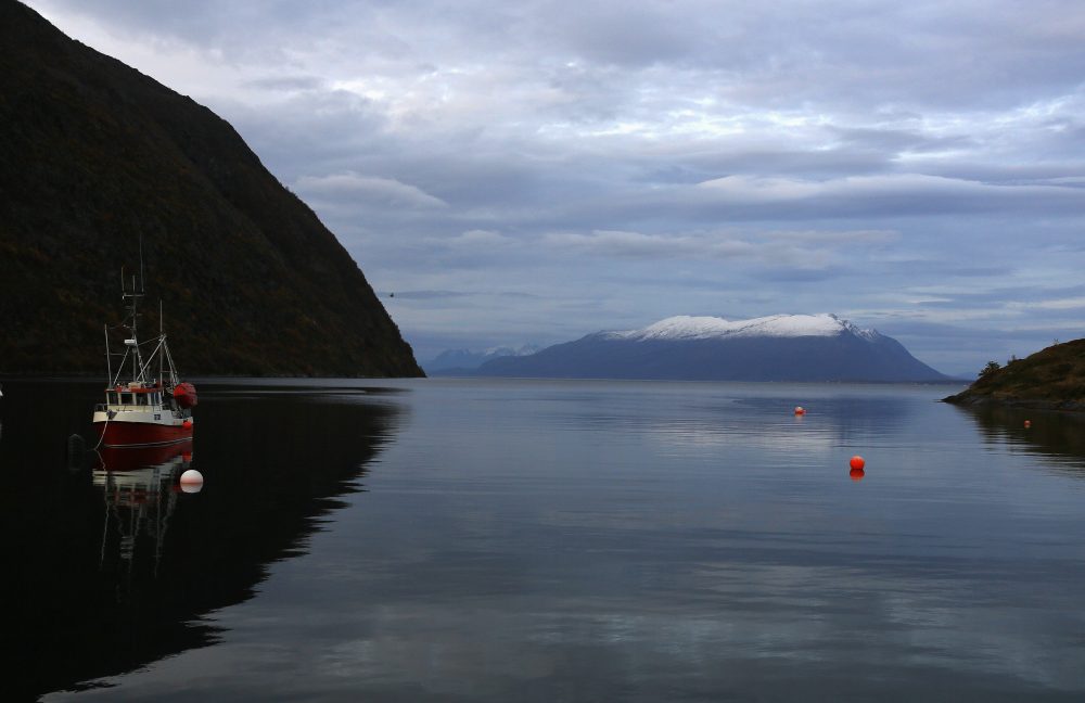 A fishing boat is anchored in the natural harbor of Kopangen in Lyngen-Fiord, north of the Arctic Circle, October 1, 2014. (Yannis Behrakis/REUTERS)