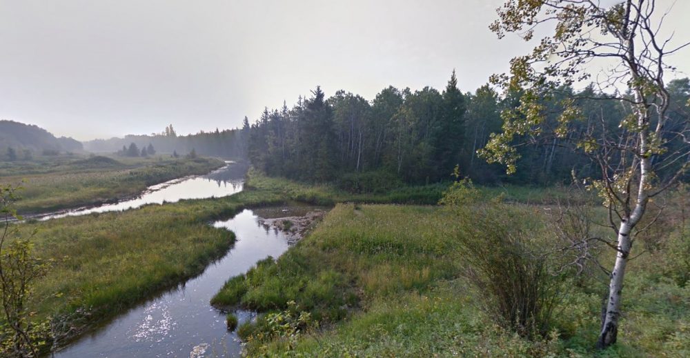 Wood Buffalo National Park is Canada’s largest national park and protects an outstanding example of the northern boreal plains. It is the site of the last natural nesting habitat of the endangered whooping crane and is home to the world’s largest free-roaming herd of bison. (Google)