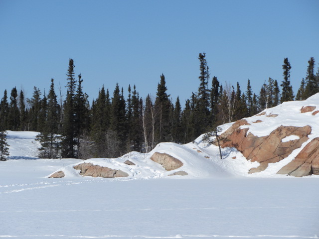 The contamination killed off many species of algae and invertebrates in Pocket Lake and the lake is yet to recover from the impact of the contamination. (Photo courtesy of University of Ottawa) 