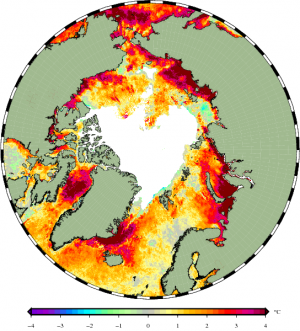 Water surface temperatures on September 8, 2016. Graphics by Jacob Høyer, DMI.