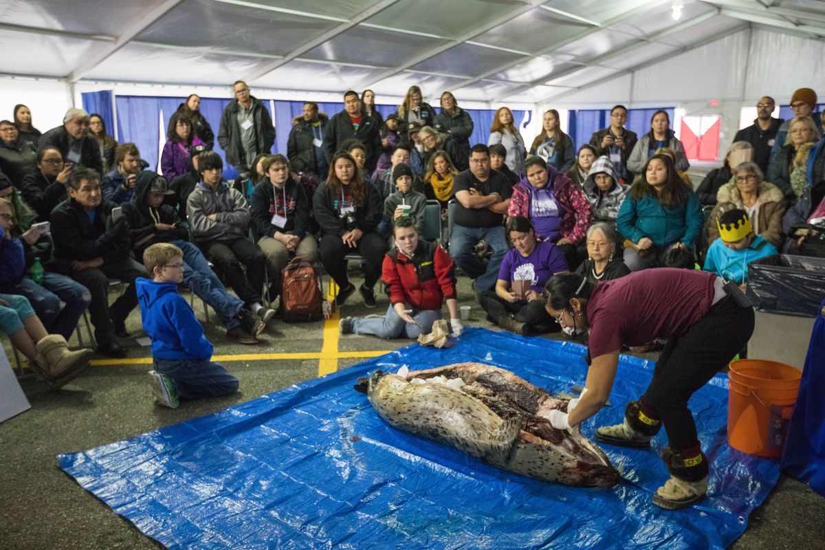 Marjorie Tahbone explains how she was taught to butcher a ringed seal, or natchiq, during a demonstration on the first day of the Elders and Youth Conference at the Carlson Center in Fairbanks on Monday, Oct. 17, 2016. (Loren Holmes / Alaska Dispatch News)