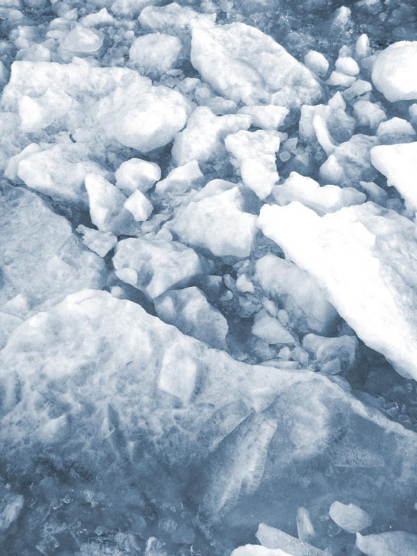 Environmentalists are sounding the alarm as the climate changes in Arctic Finland. (iStock)