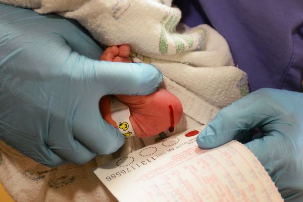 Blood samples are taken from a 1-day-old infant in November 2014 at Alaska Native Medical Center. The blood was drawn for screening for numerous conditions, including CPT1A, which occurs in some Alaska Native people and other Arctic indigenous people. (Erik Hill / ADN archive 2014)