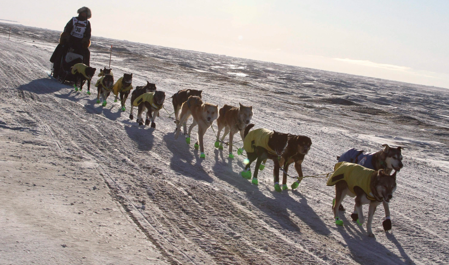 mushing-alaska-mushers-frustrated-over-cell-phones-on-iditarod-trail