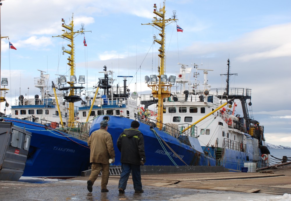 Russian and Norwegian fishermen can in 2017 each catch up to 400,000 tons of cod in the Barents Sea. (Atle Staalesen/The Independent Barents Observer)