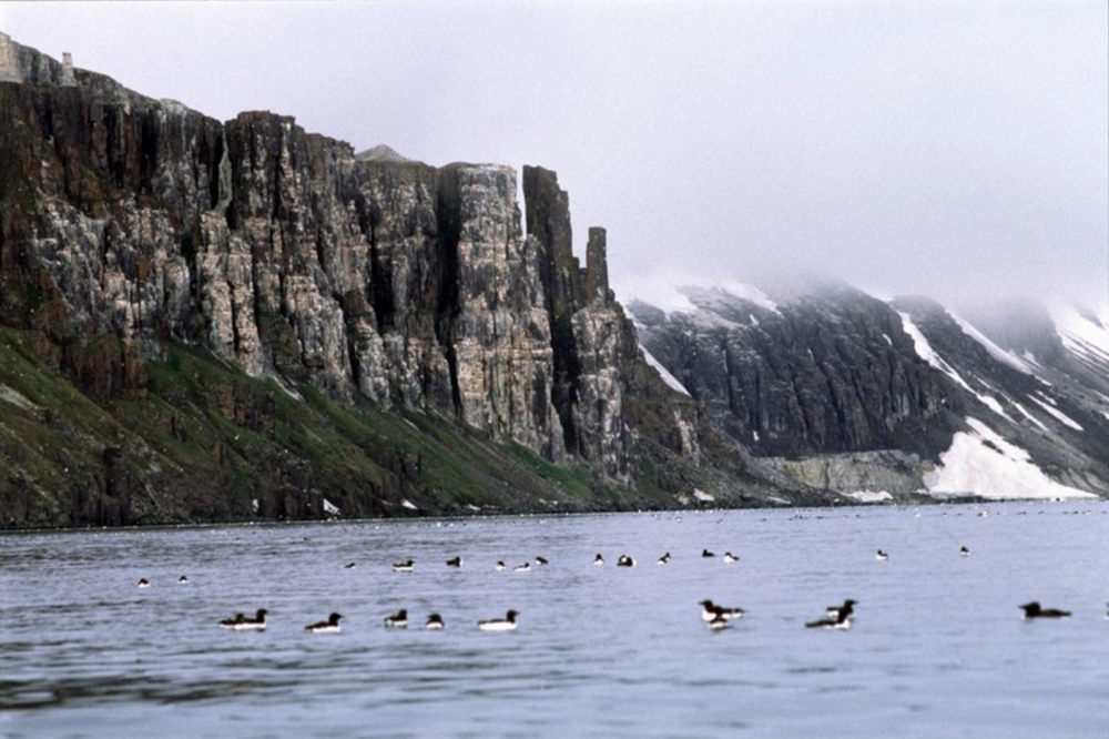 Over the last years, several other Russian Arctic has got an upgraded protection regime. (Thomas Nilsen/The Independent Barents Observer)