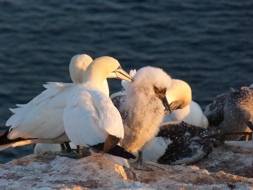 We need to protect the climate for the next generation! (Irene Quaile/Deutsche Welle)