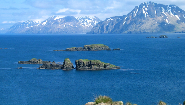 does-the-blob-foretell-north-pacific-future-a-scientist-says-yes