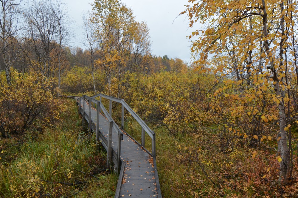 norway-not-invited-high-profile-opening-visitor-centre-for-bilateral-nature-reserve-5