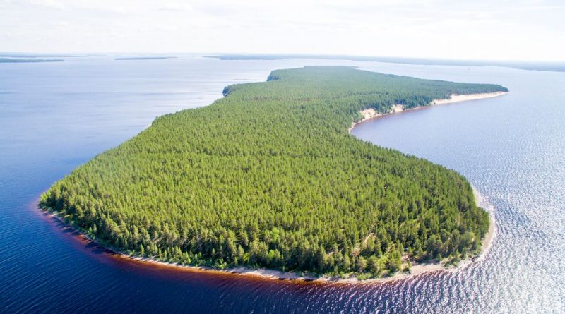 finnish-government-buys-naturally-diverse-historical-island-from-forestry-giant