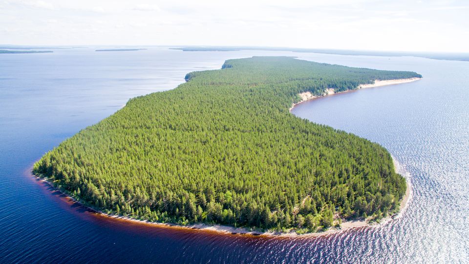 finnish-government-buys-naturally-diverse-historical-island-from-forestry-giant