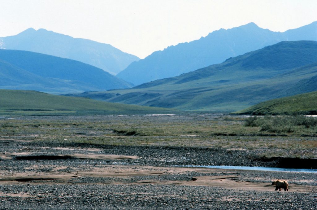 alaska-is-trying-to-slice-some-land-out-of-the-arctic-national-wildlife-refuge