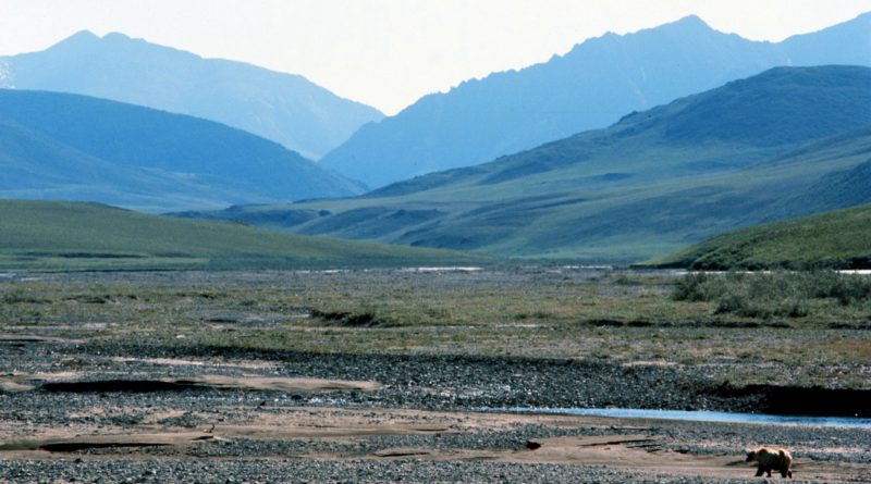 alaska-is-trying-to-slice-some-land-out-of-the-arctic-national-wildlife-refuge