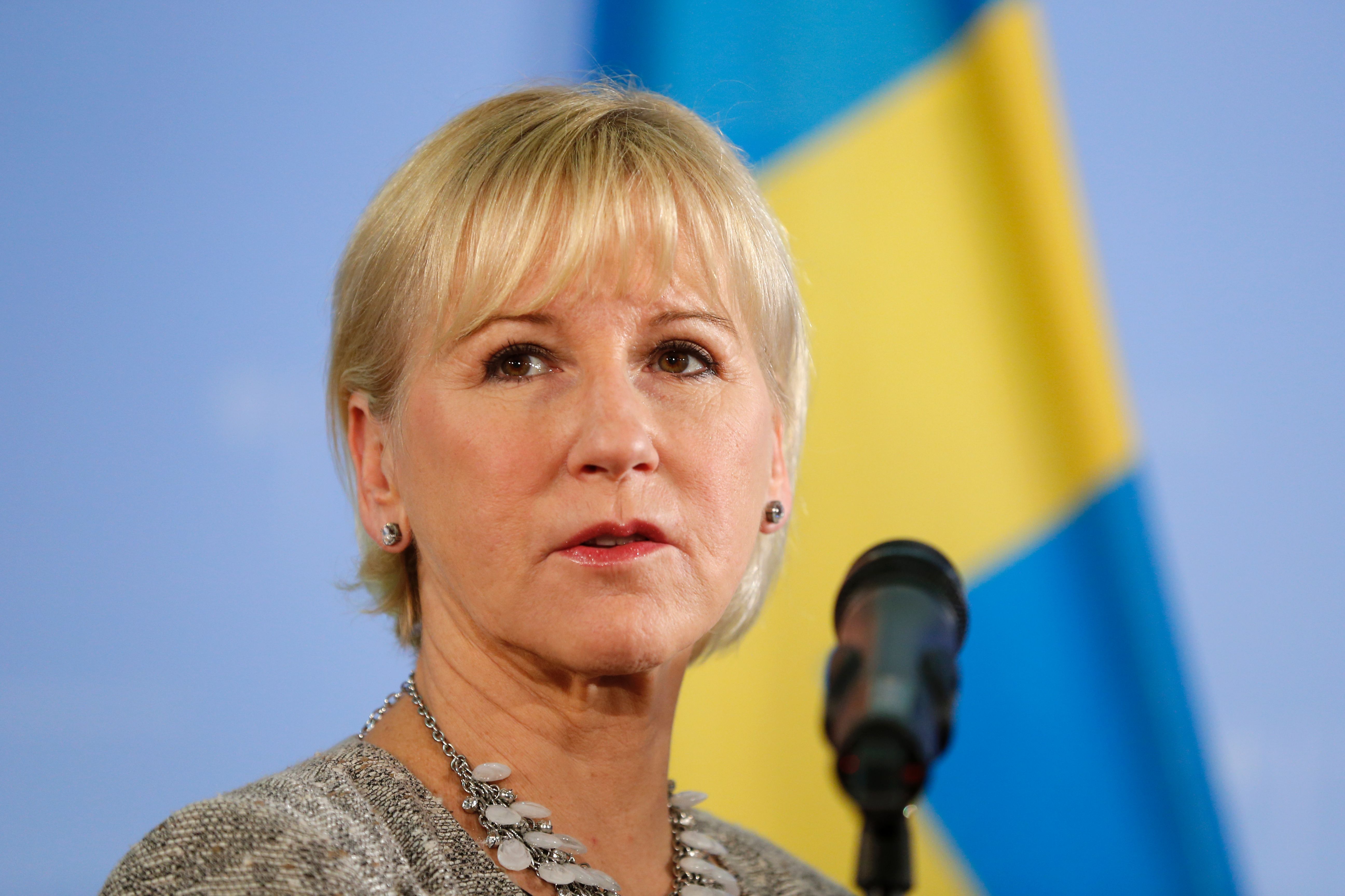 swedens-foreign-minister-meet-russian-counterpart