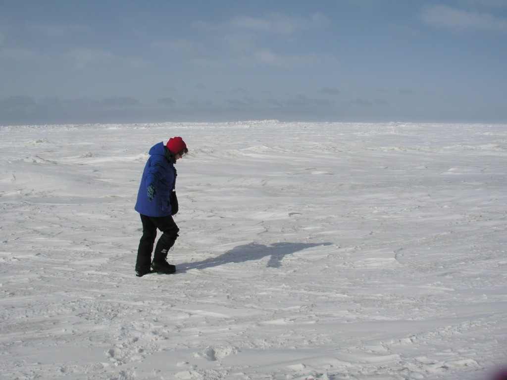 ice-blog-arctic-sea-ice-is-the-minimum-maximum-the-new-normal-4
