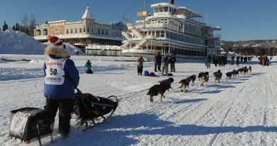 iditarod-trail-sled-dog-race-teams-head-ou-fairbanks-into-alaskas-big-chill