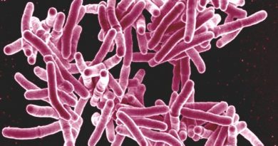 alaska-tuberculosis-rate-dips-but-still-among-the-u-s-highest