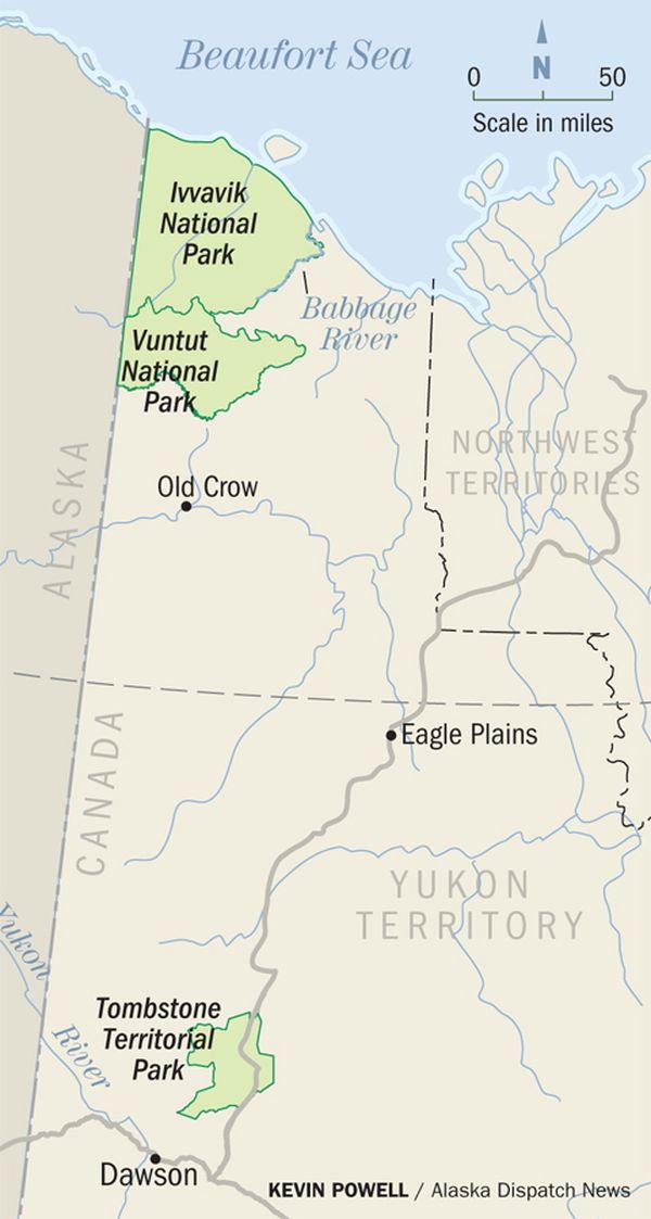 as-woody-shrubs-move-north-in-a-warming-arctic-so-do-beavers-1