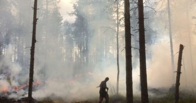 call-to-increase-controlled-burning-of-finnish-forests