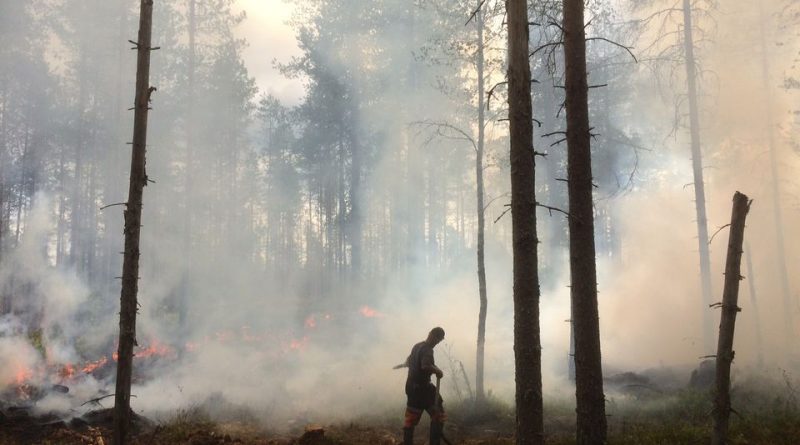 call-to-increase-controlled-burning-of-finnish-forests