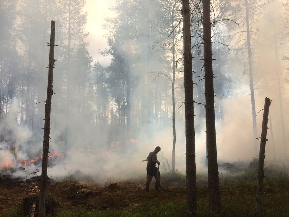 call-to-increase-controlled-burning-of-finnish-forests