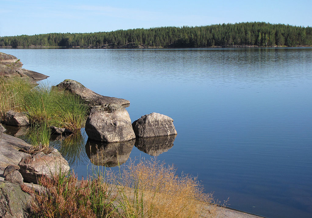 ultra-rare-saimaa-seals-still-dying-in-fishing-nets