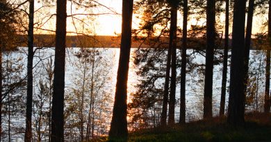 bright-nights-begin-as-midnight-sun-rises-over-finland