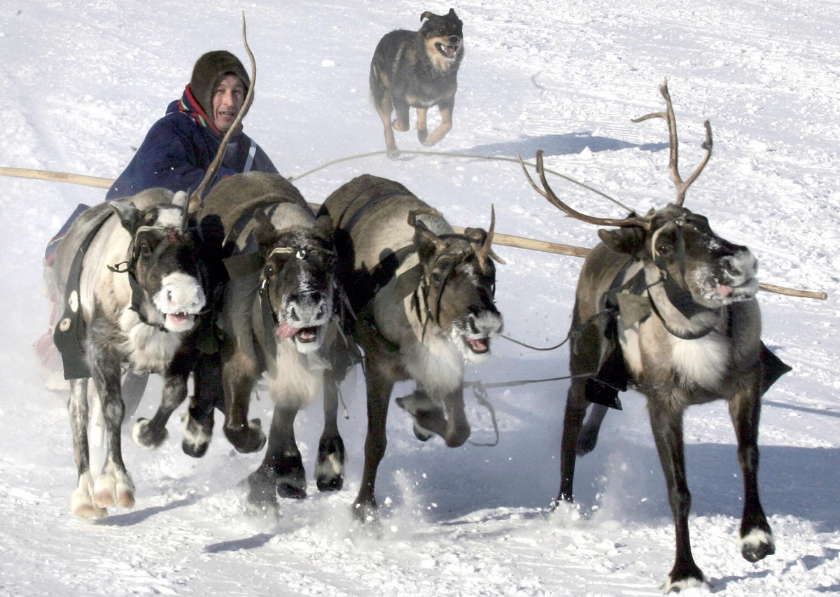 canadian-researchers-count-on-siberian-reindeer-herders-to-solve-archaeological-mystery-10