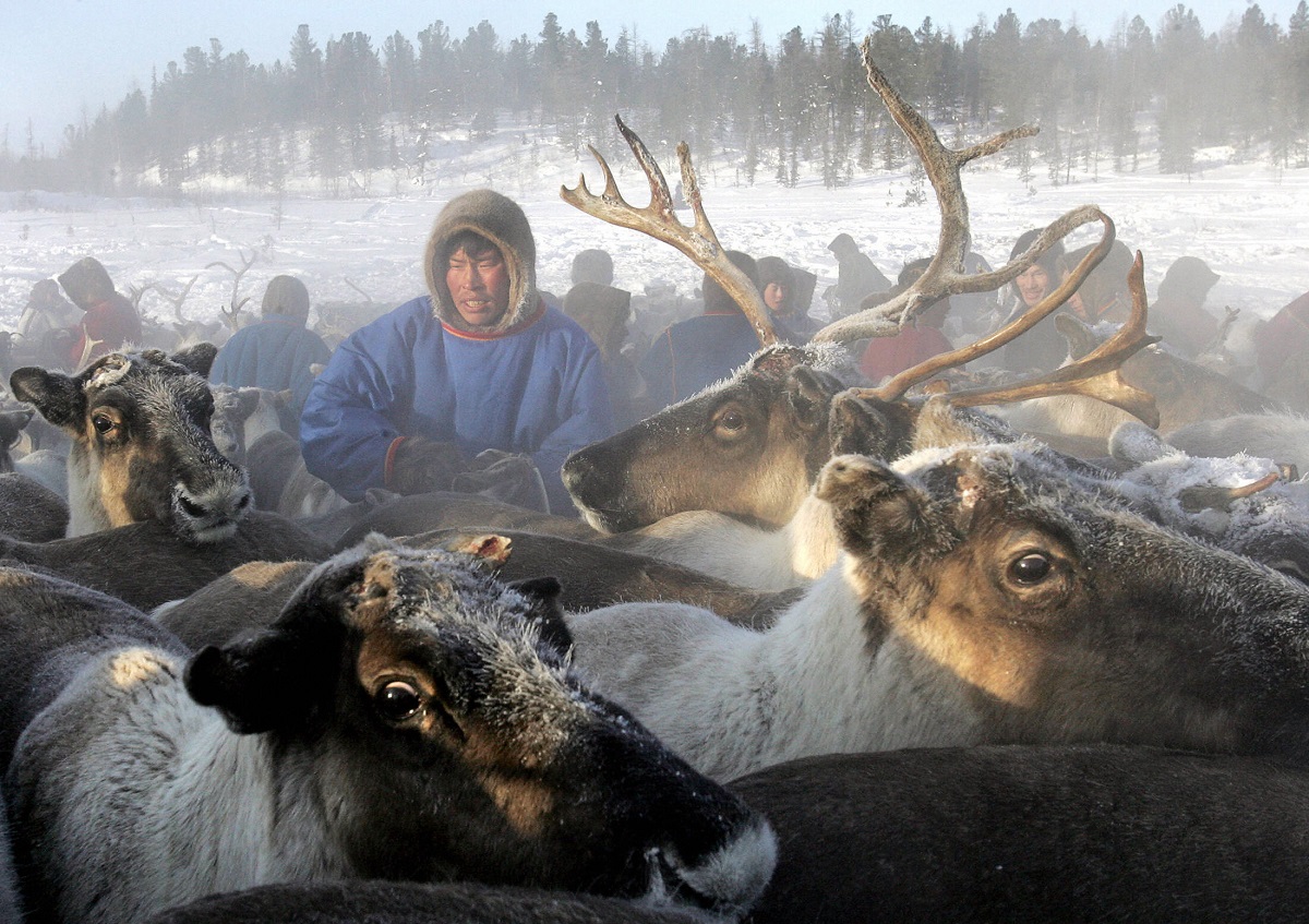 canadian-researchers-count-on-siberian-reindeer-herders-to-solve-archaeological-mystery-12