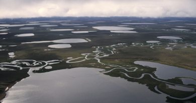 conservation-groups-girding-for-battle-over-national-petroleum-reserve-in-alaska
