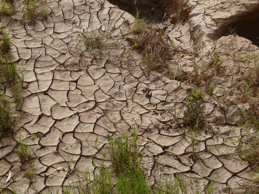 ice-blog-why-africa-has-to-worry-about-melting-greenland-ice-2
