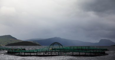 russian-salmon-farmers-buy-norwegian-smolt-company