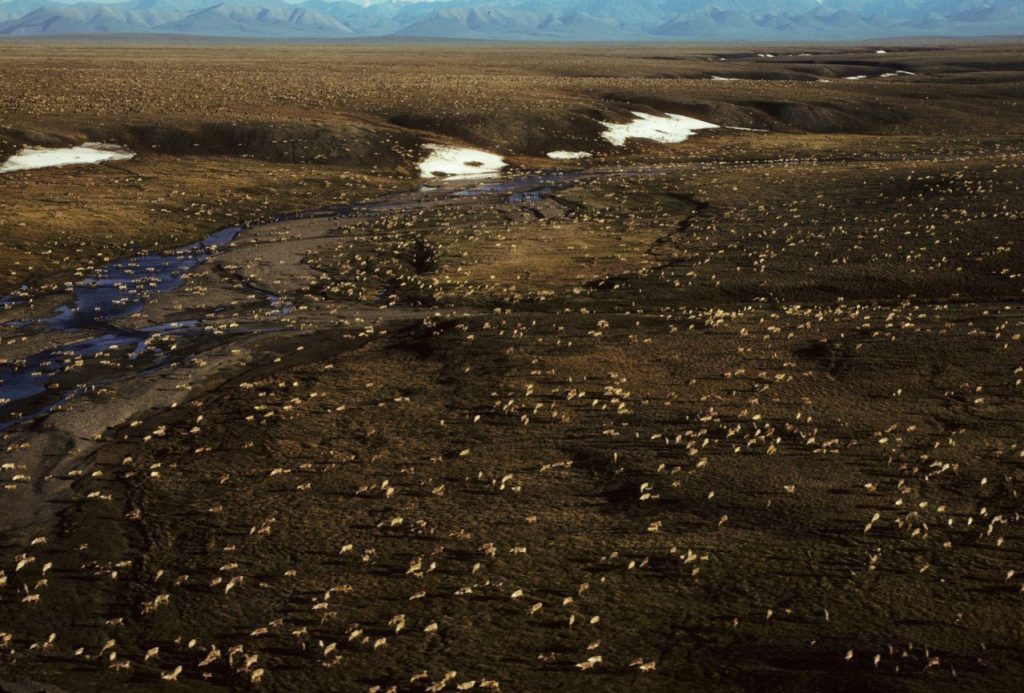 with-budget-us-house-inches-toward-anwr