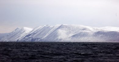 unesco-mission-makes-first-visit-to-russian-arctic-island-of-wrangel