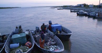 yukon-river-king-salmon-briefly-sold-commercially-for-first-time-in-years