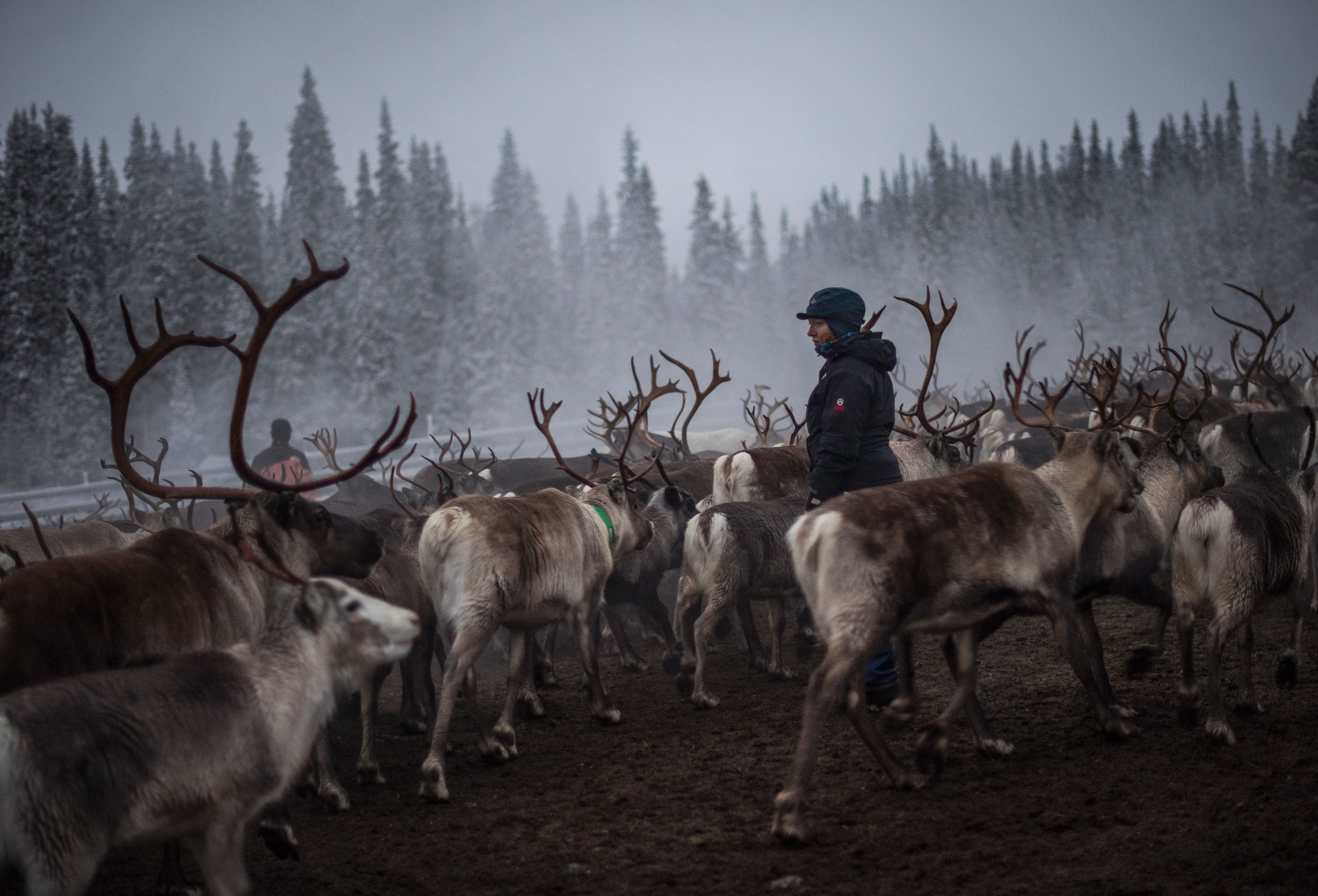 https://www.rcinet.ca/eye-on-the-arctic/wp-content/uploads/sites/30/2018/02/gettyimages-624859900.jpg